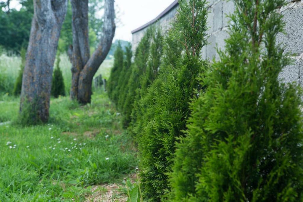 Kuca Za Odmor Marija Vila Vrhovine Exterior foto